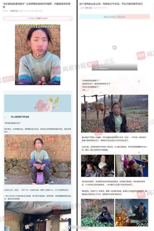 成人国产视频在线,揭秘行业现状与未来趋势